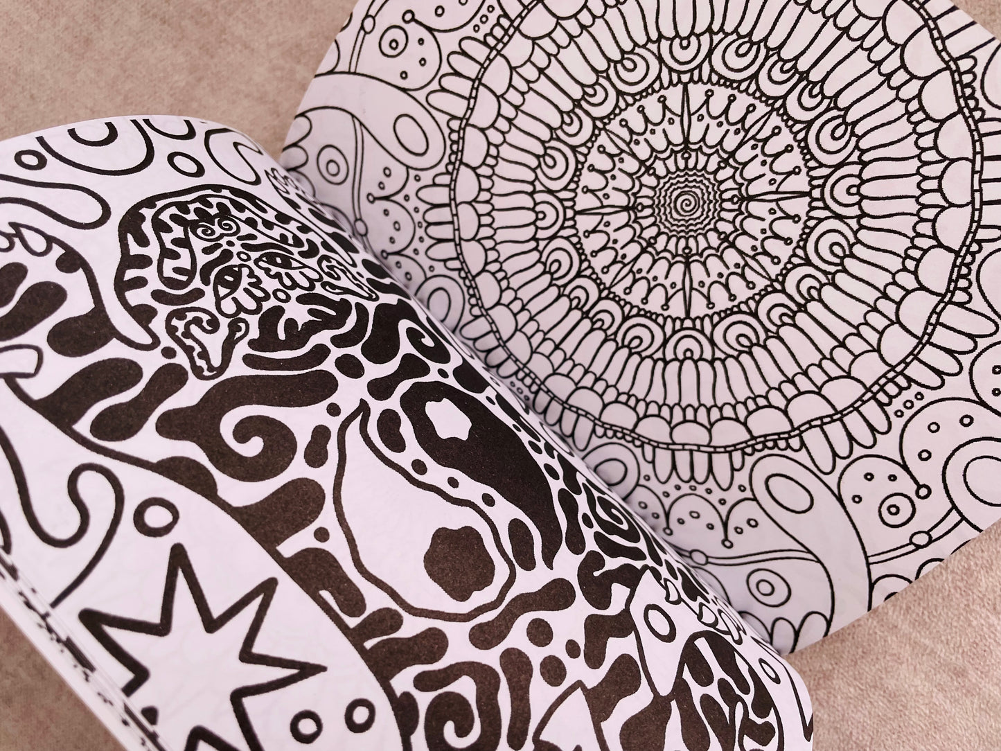 Libro Universo Coloreable